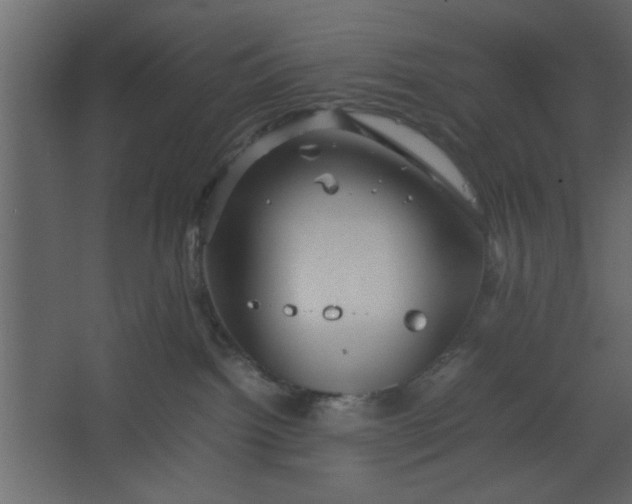 X0000067460092200604211552