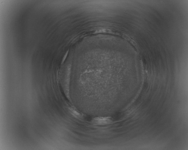 X0000067460093200604211552