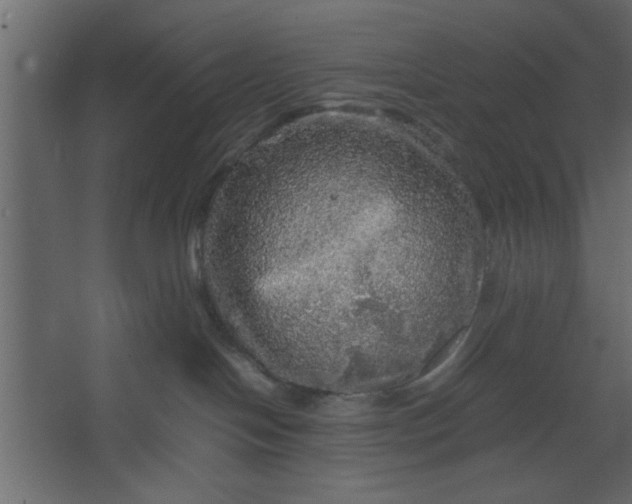 X0000067460094200604211552