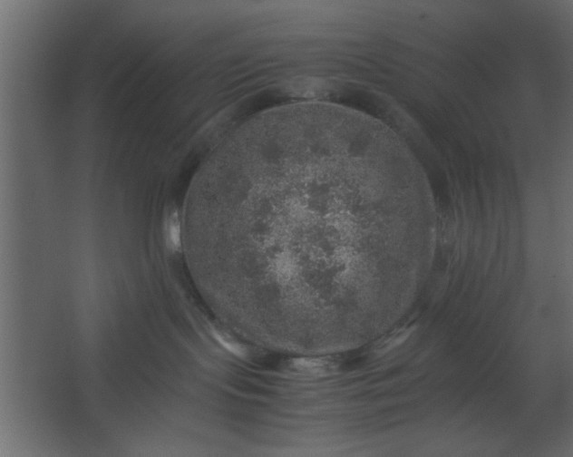 X0000067460095200604211552