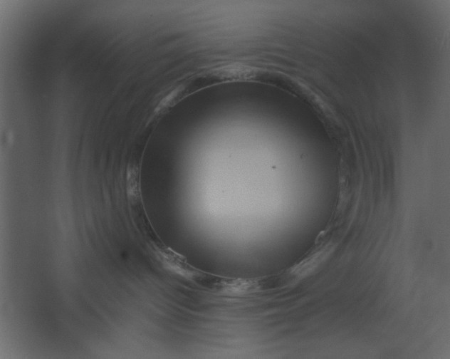 X0000067460096200604211552