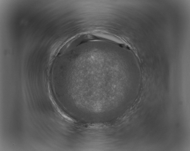 X0000067460097200604211551