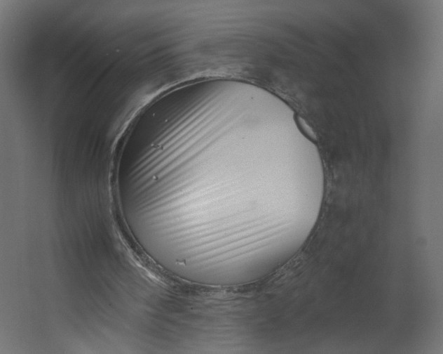 X0000067460098200604211551