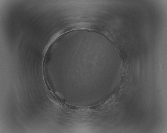 X0000067460099200604211551