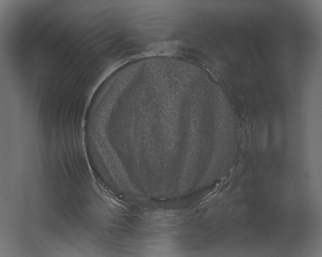 X0000067460100200604211551