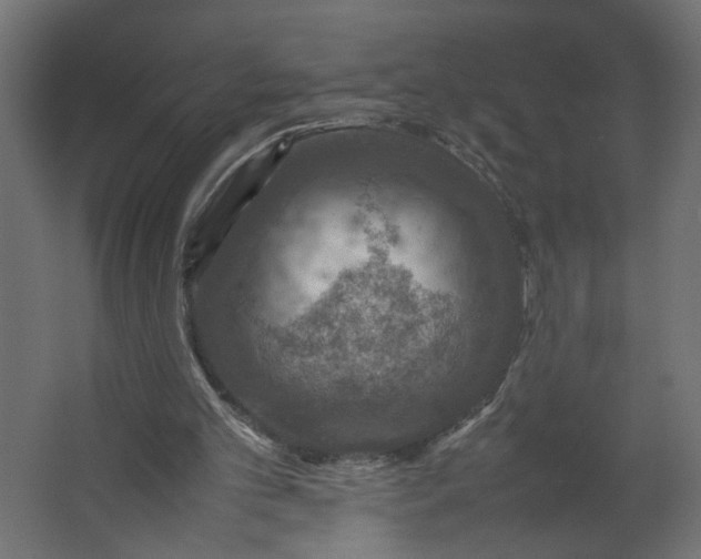 X0000067460101200604211551