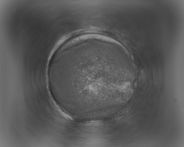 X0000067460102200604211551