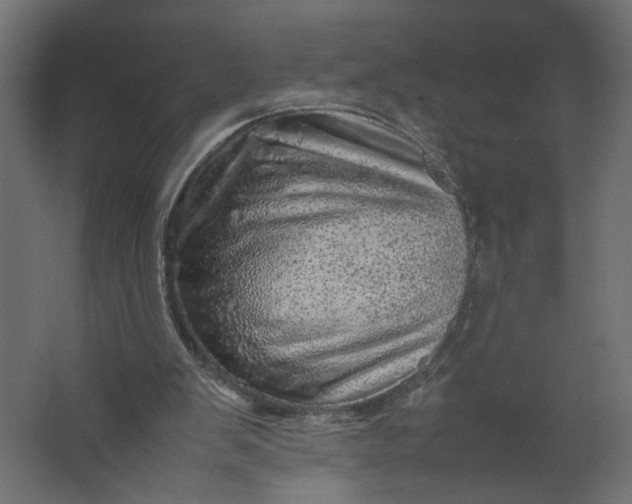 X0000067460103200604211551