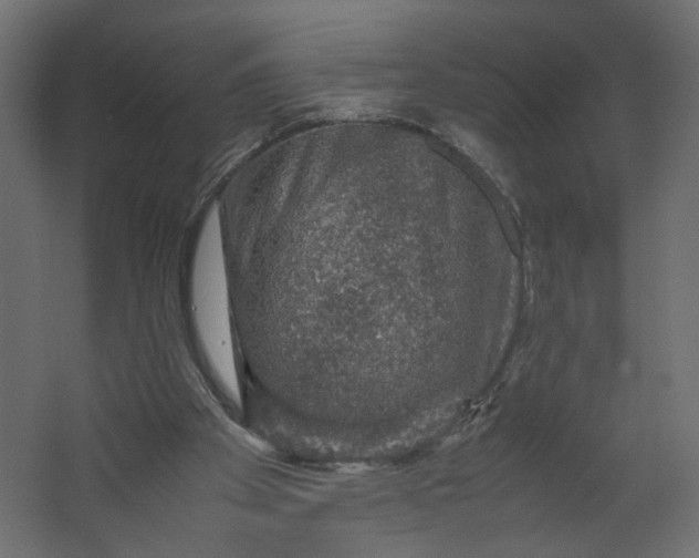 X0000067460105200604211551