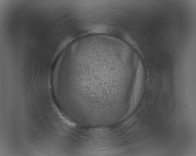 X0000067460106200604211551