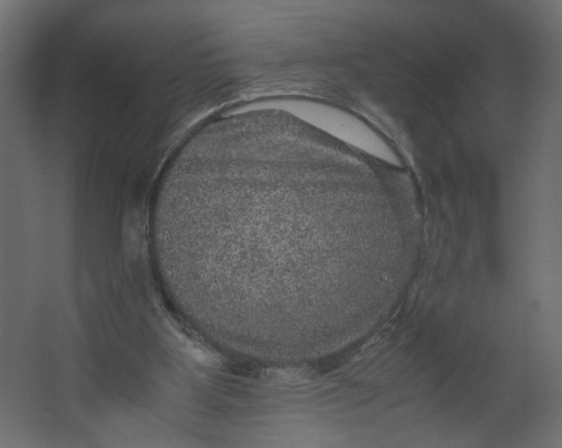 X0000067460107200604211551