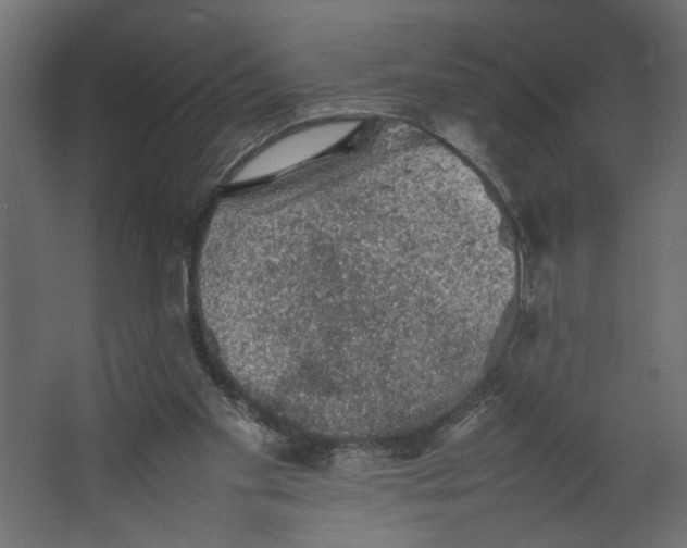 X0000067460109200604211551