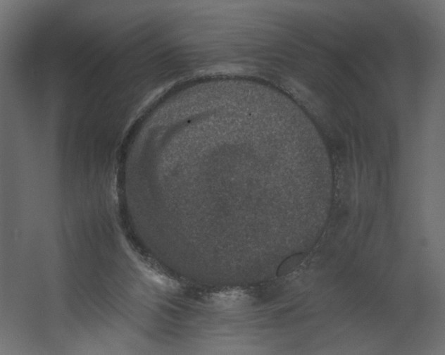 X0000067460112200604211551