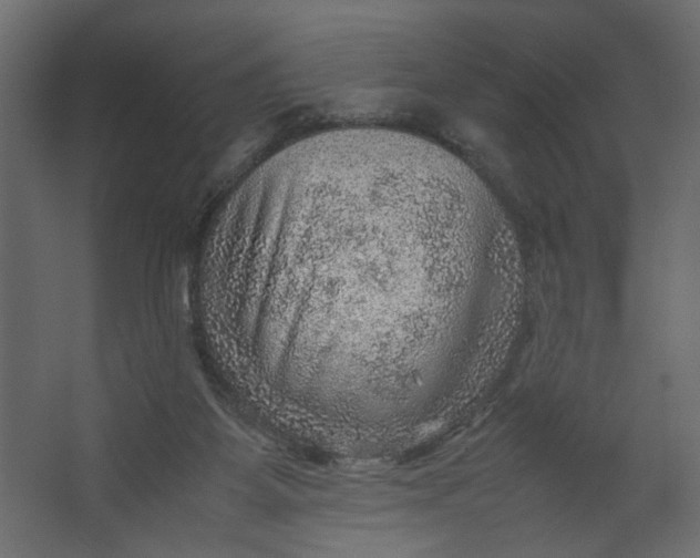 X0000067460115200604211551