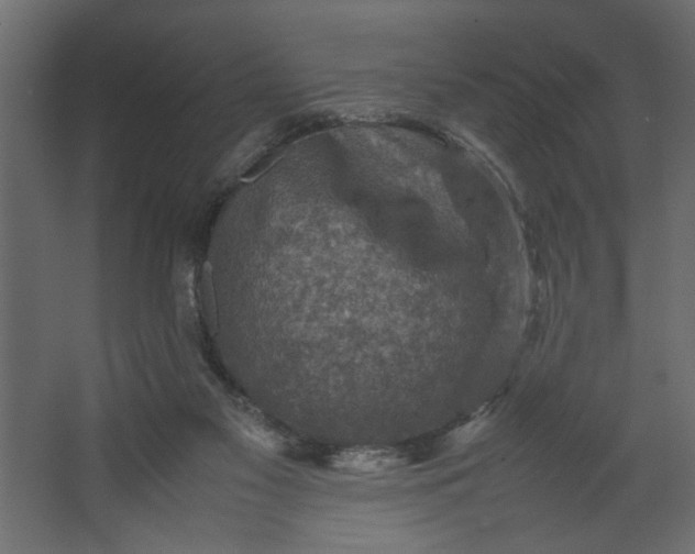 X0000067460117200604211551