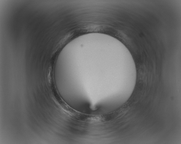 X0000067460118200604211551