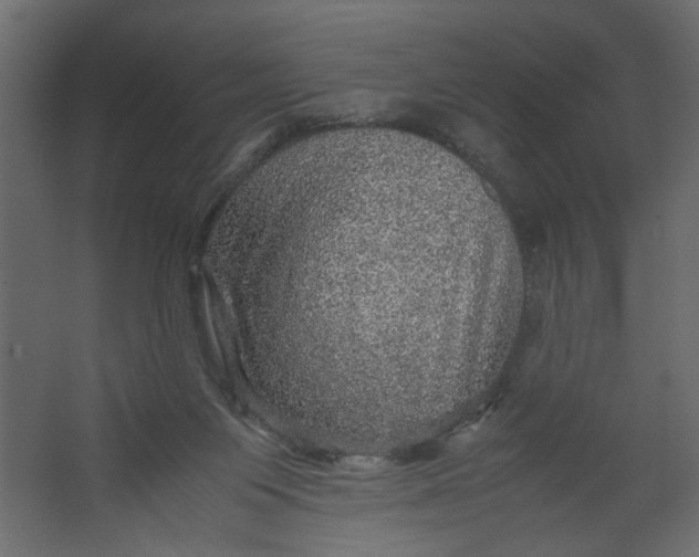 X0000067460119200604211551