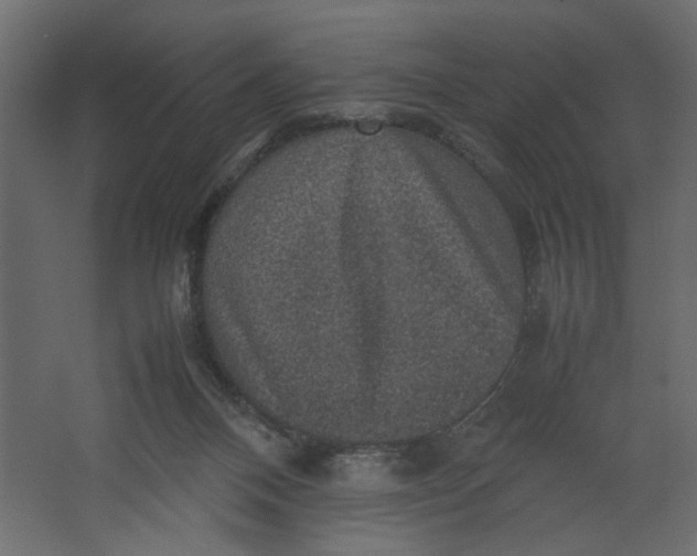 X0000067460120200604211551