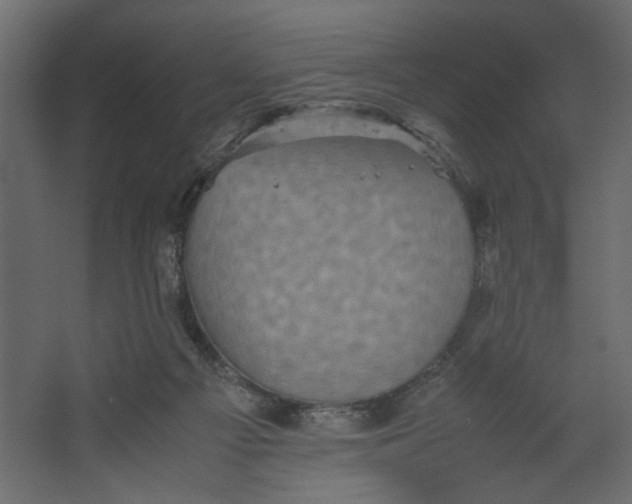 X0000067460121200604211551