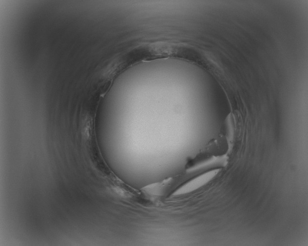 X0000067460125200604211551