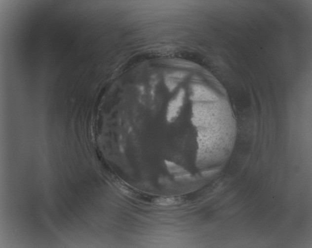 X0000067460131200604211551