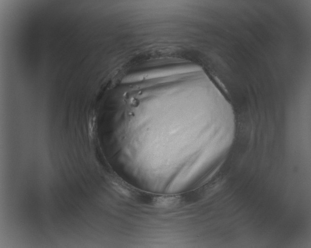 X0000067460135200604211551