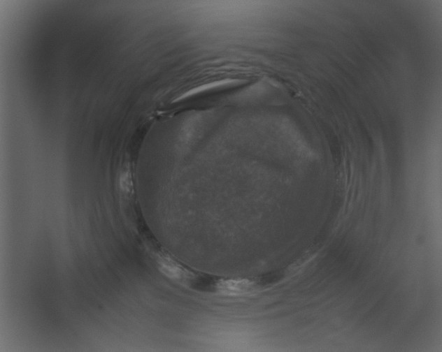 X0000067460137200604211551