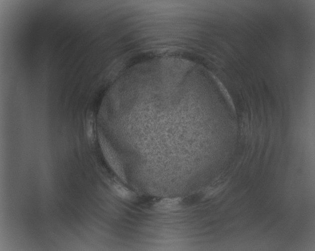 X0000067460138200604211551