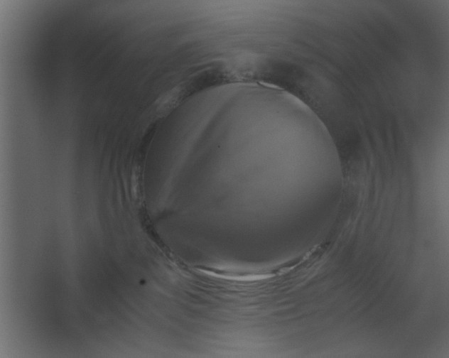 X0000067460139200604211551