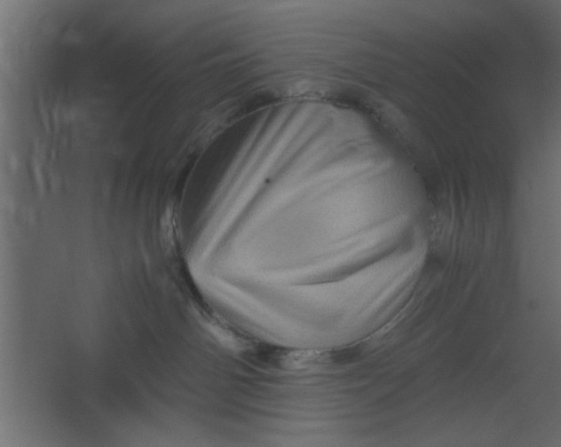 X0000067460142200604211551