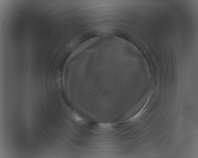 X0000067460144200604211550