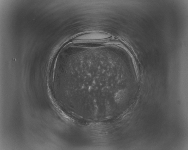 X0000067460145200604211550