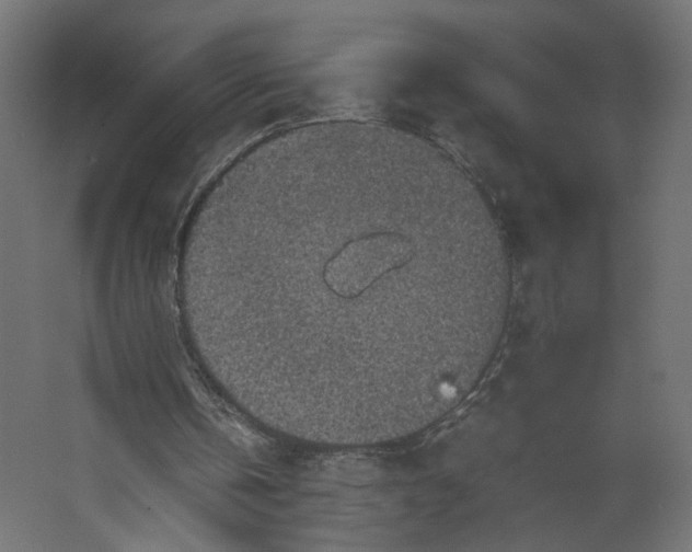 X0000067460146200604211550