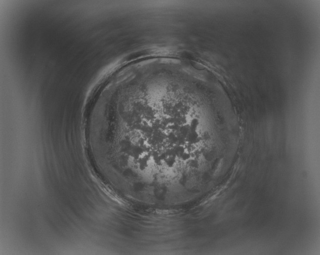 X0000067460149200604211550