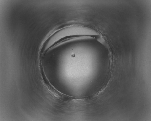 X0000067460150200604211550