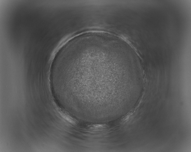 X0000067460151200604211550