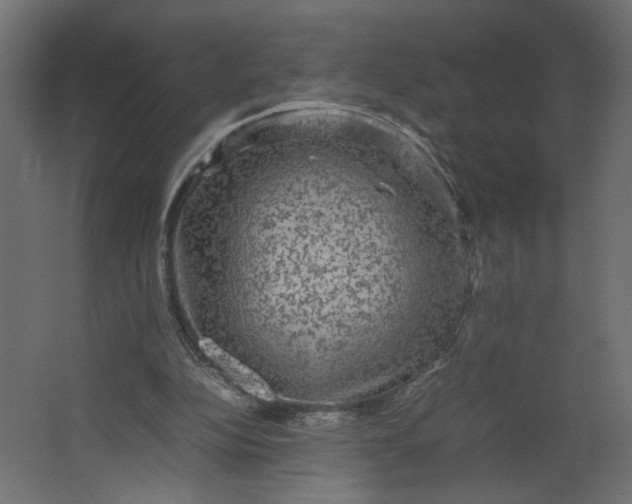 X0000067460152200604211550