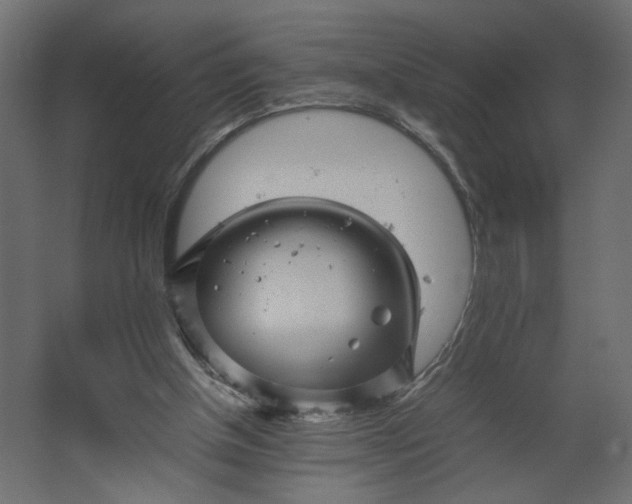 X0000067460154200604211550