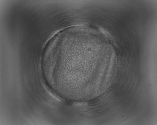 X0000067460155200604211550