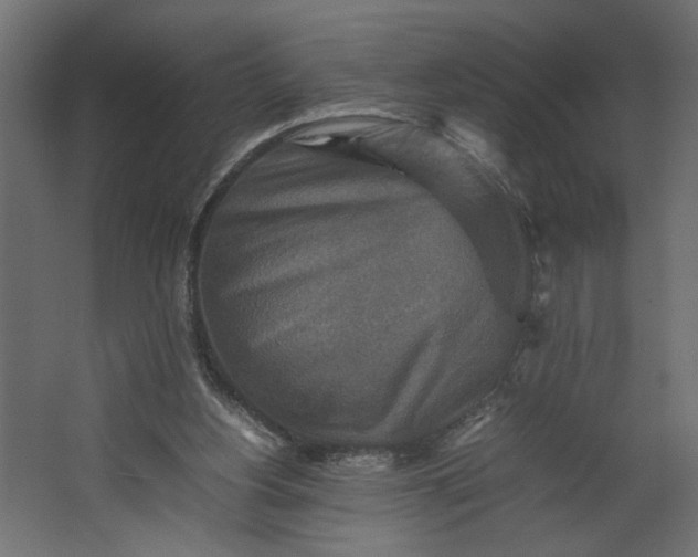 X0000067460156200604211550