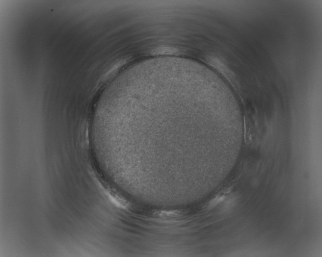 X0000067460157200604211550