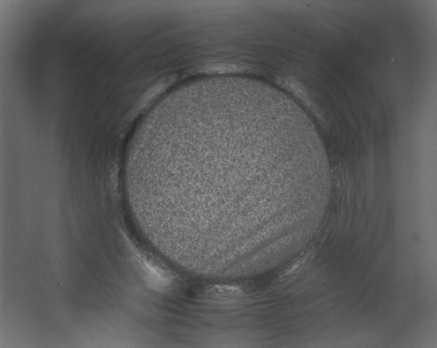 X0000067460159200604211550