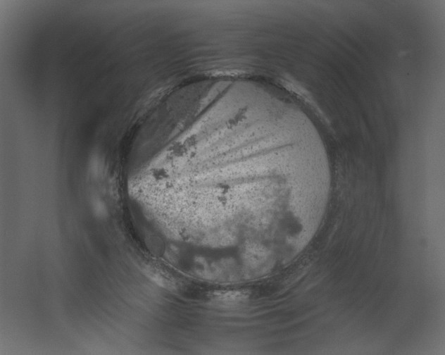 X0000067460161200604211550