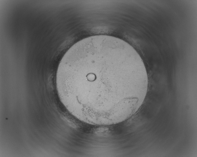 X0000067460162200604211550