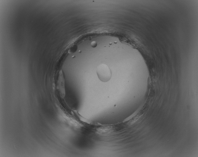 X0000067460164200604211550