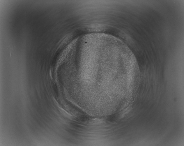 X0000067460166200604211550