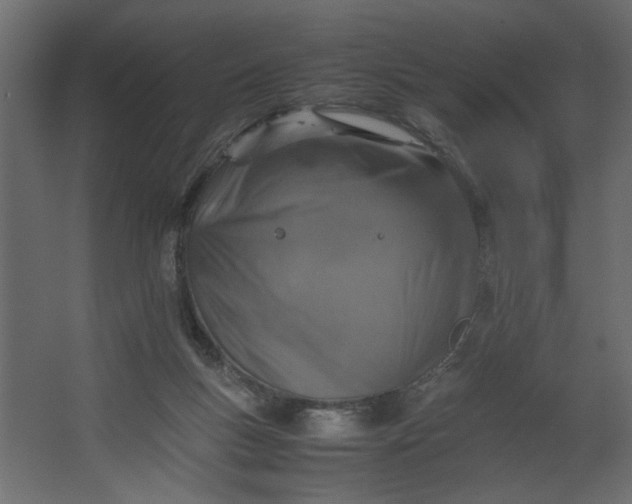 X0000067460167200604211550