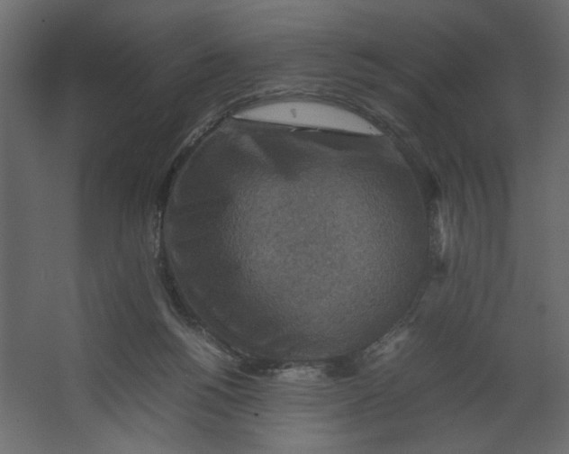 X0000067460168200604211550