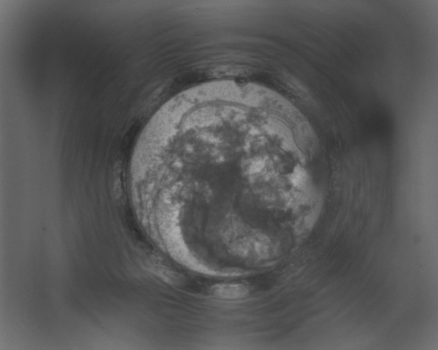 X0000067460169200604211550