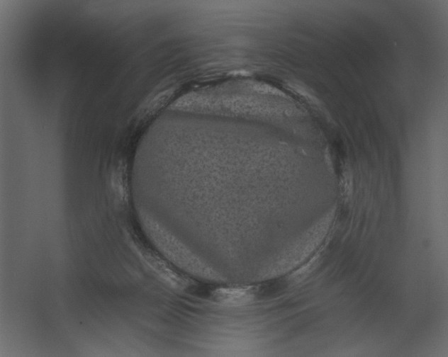 X0000067460170200604211550